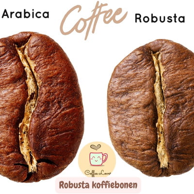 Robusta koffiebonen: Krachtige smaak en vol karakter 13 robusta koffiebonen versus arabica